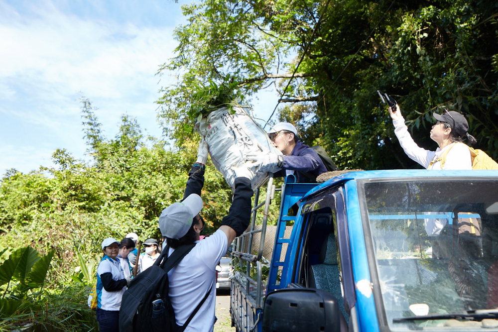 友達串聯志工組成水環境巡守隊 ，針對霄裡溪沿岸3公里的小花蔓澤蘭，定期進行移除與防治工作
